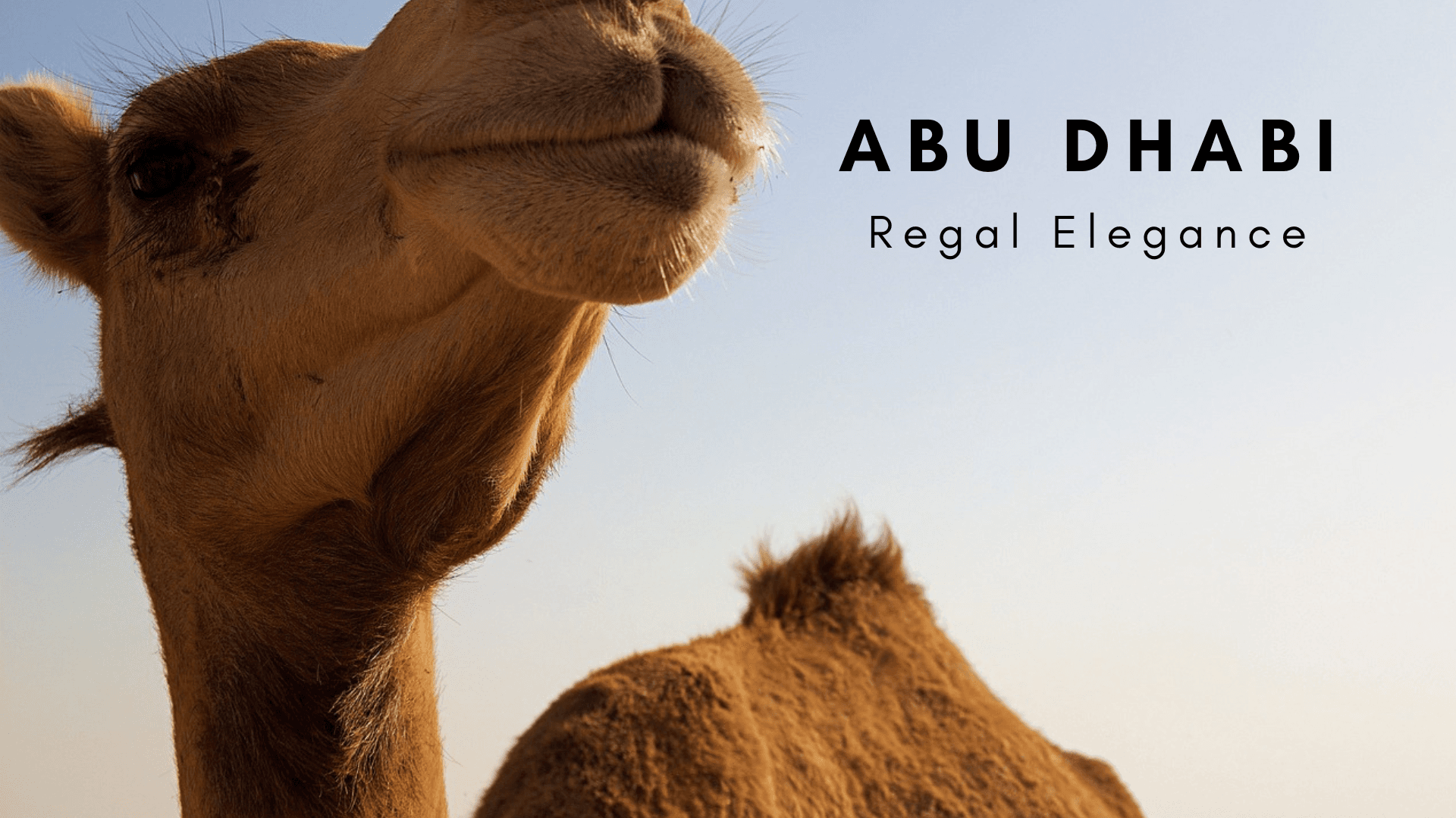 Abu Dhabi